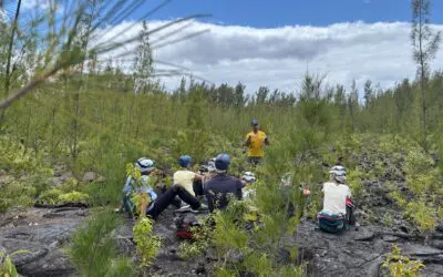 Groupes, scolaires, entreprises : nos formats dédiés