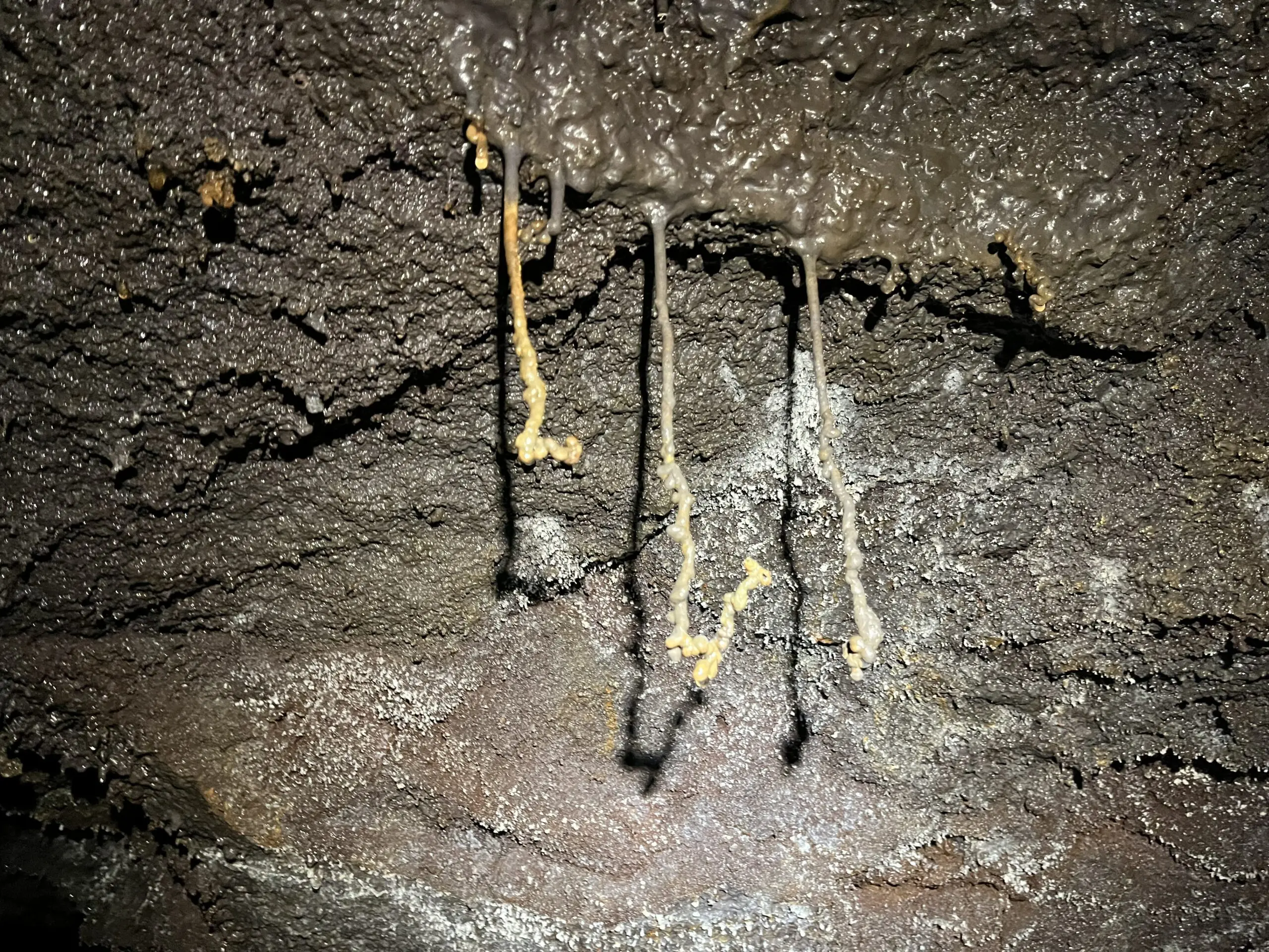 2004 – Grotte Chocolat : Formule Sportive – Image 2